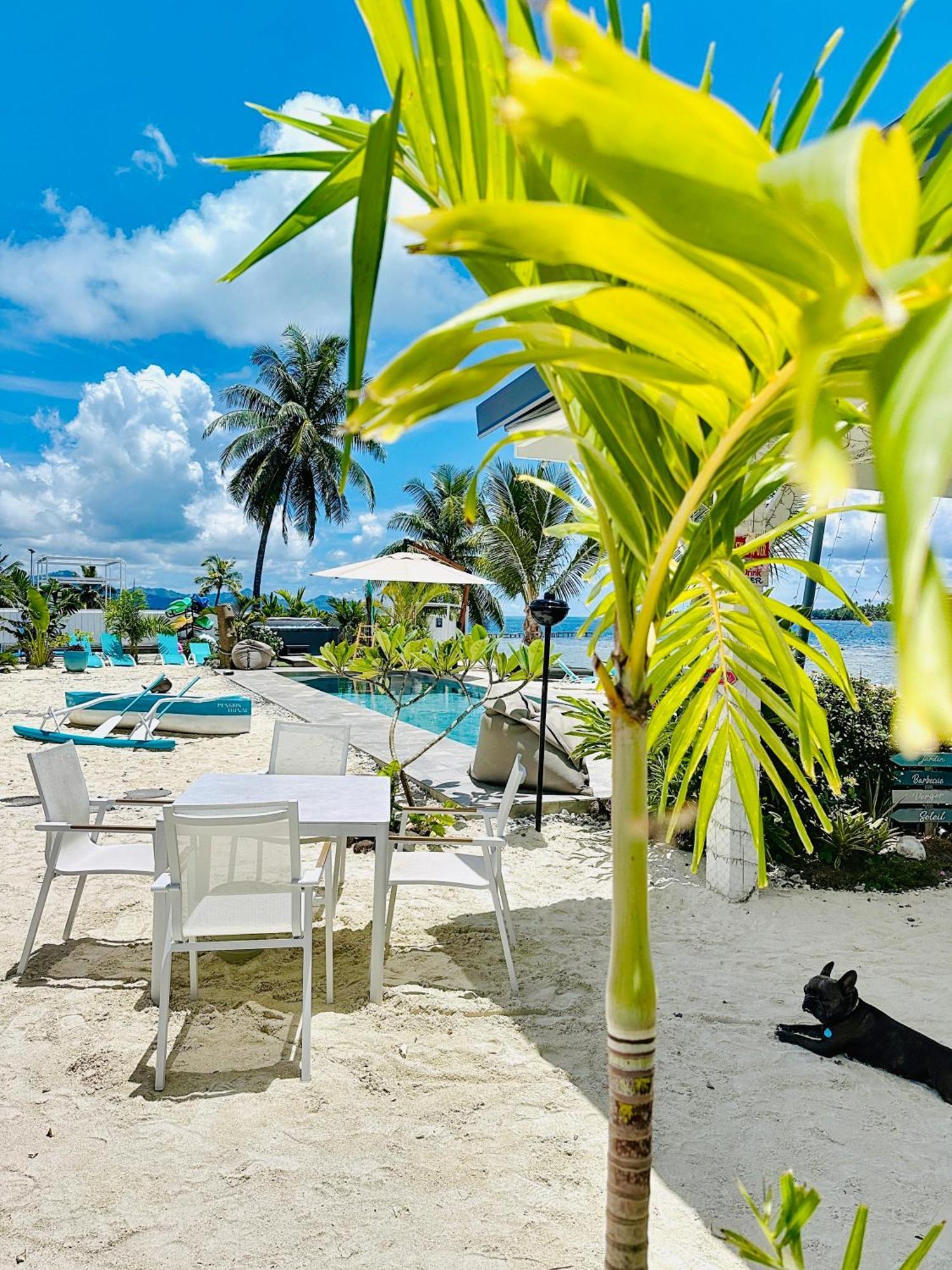 Pension Irivai, Appartement Uo Uo 3 Chambres Vue Mer Uturoa Bagian luar foto